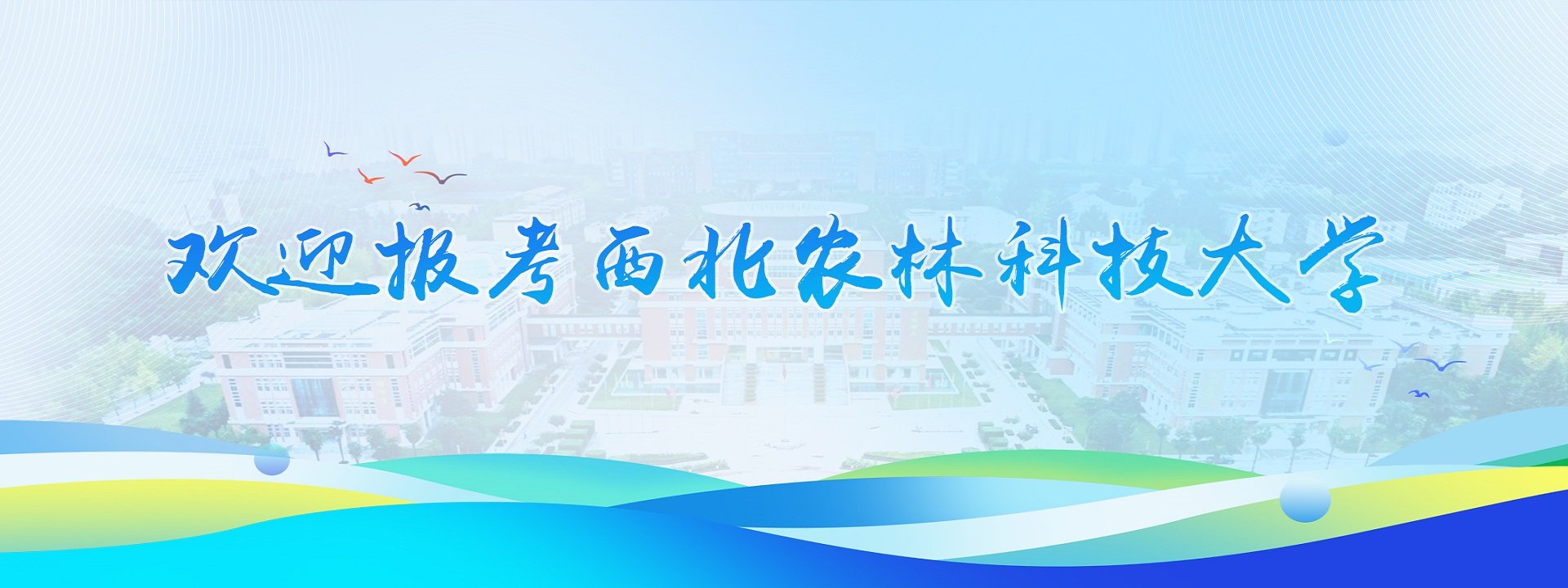 报告题目