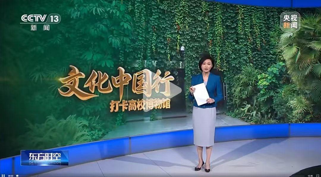 同类内容