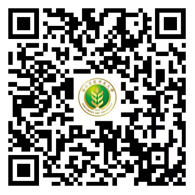 本站按公开材料组织页面
