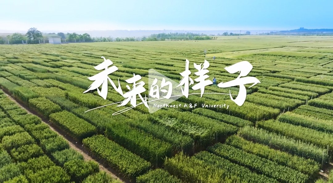 西安体育官网