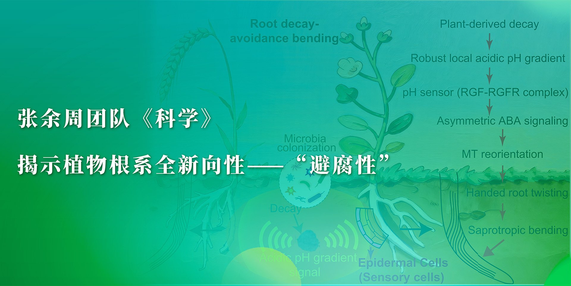 需要原文时请核对应栏目发布页