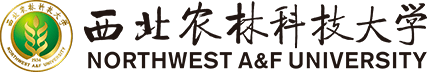 西安体育官网